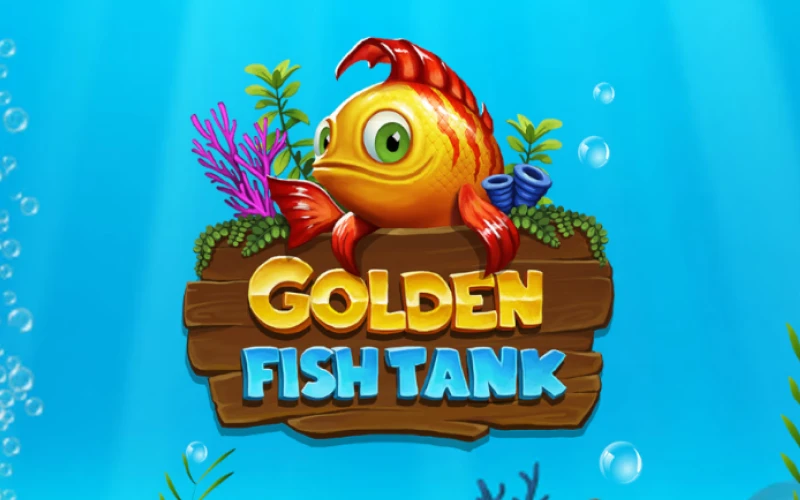 Golden Fish Tank es un juego fácil para los jugadores de Locowin.