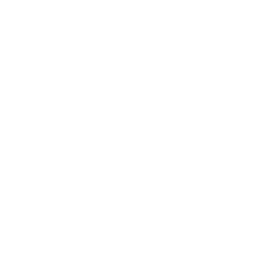 Bank Transfer logo.