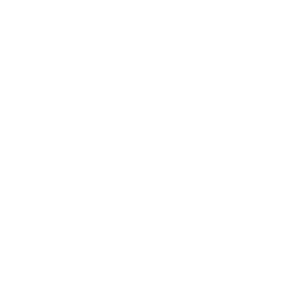 Rapid Transfer logo.