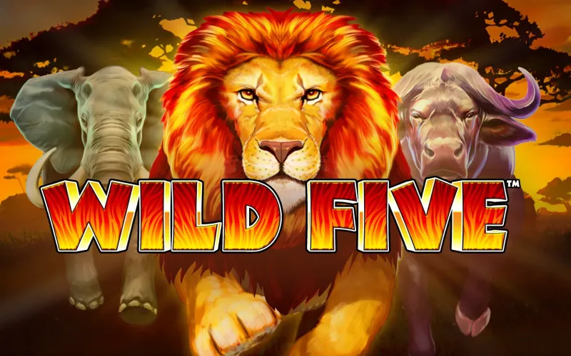 Gana uno de los mayores botes en la tragaperras Wild 5 del casino LocoWin.